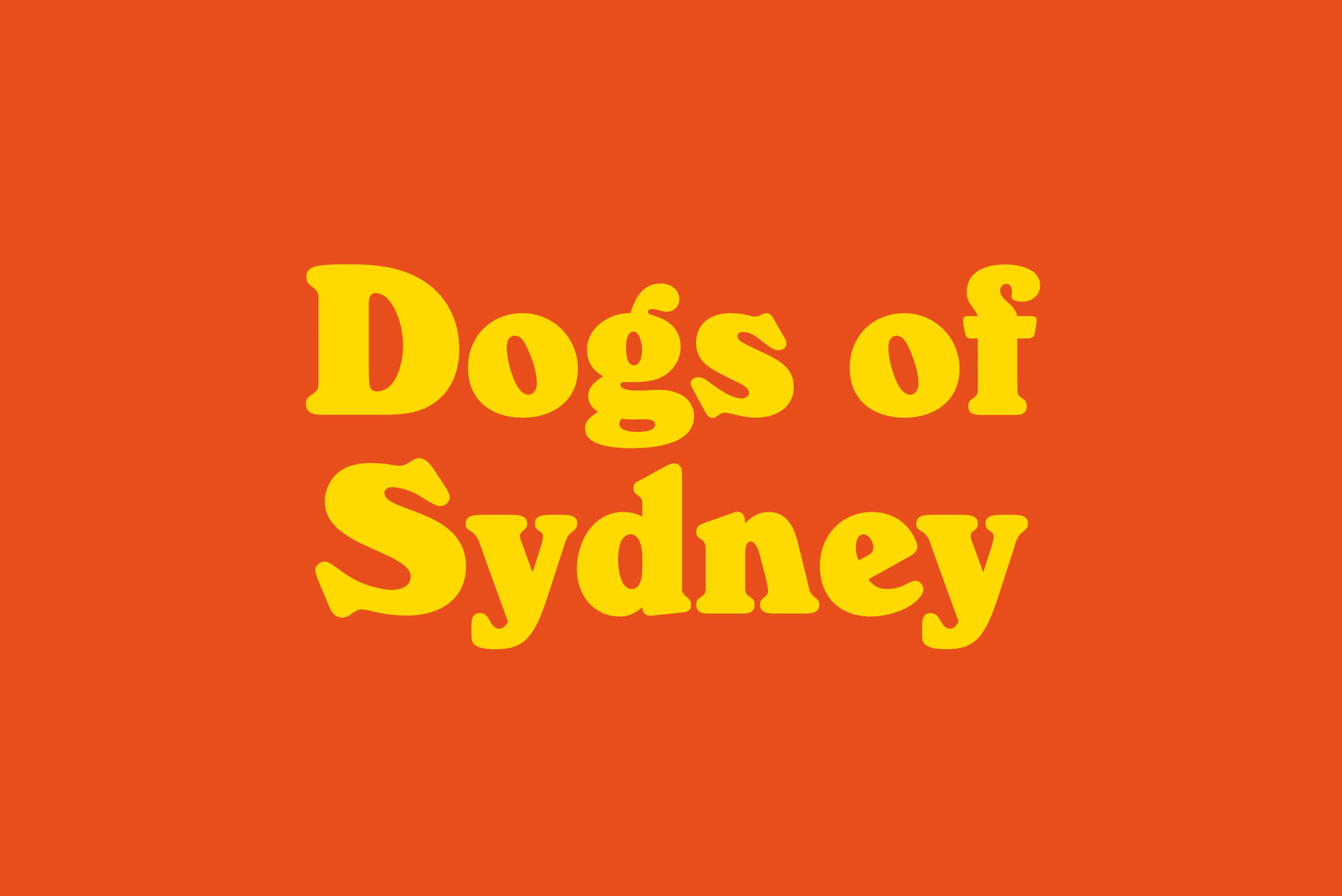 Studio-Rollmo-Dogs-of-Sydney6